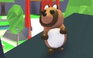 Tanuki costs for 750 bucks in Roblox Adopt Me! (Image via YouTube)